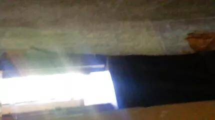 لن تفوت المرأة اليابانية سكس سحاق عربي جديد ذات القميص الفهد فرصة الجلوس بسرعة على ديك.
